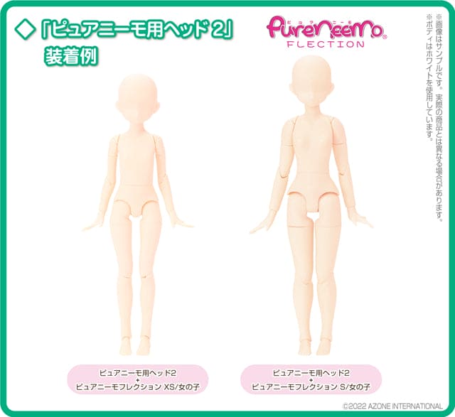 【AZONE】Pureneemo 植髮裸頭 2號 預購 / PN2 Pureneemo 1/6 Blythe - 紀物書館+JiWu Bookstore