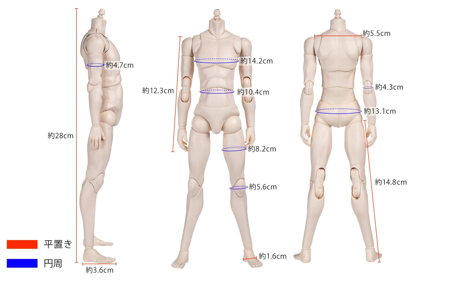 【OBITSU】OB30 原廠素體 淺燒肌 / Obitsu30 六分之一男子圖鑑 兵人 - 紀物書館+JiWu Bookstore