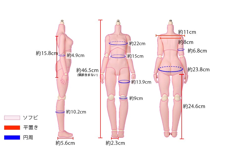 【Obitsu】OB50 Ver. 1.5 GGR 素體 預購 - 紀物書館+JiWu Bookstore