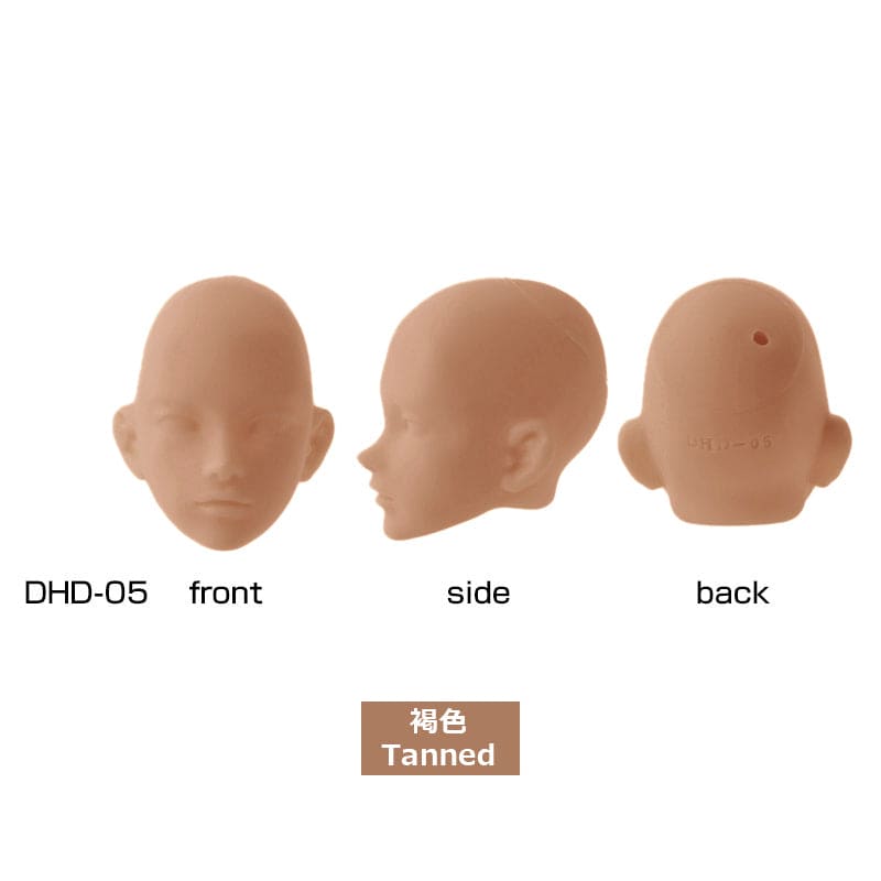 【PetWORKs】 六分之一男子圖鑑 裸頭 EIGHT B品 - 紀物書館+JiWu Bookstore