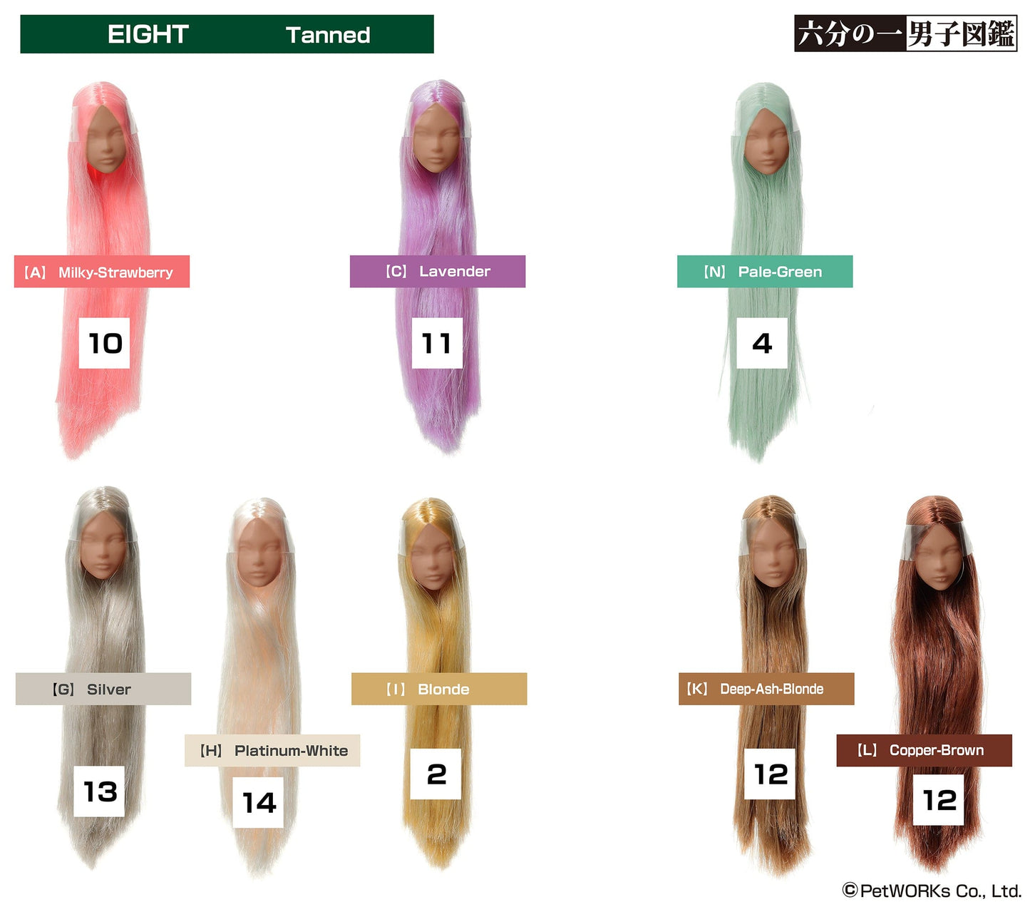 【PetWORKs】 六分之一男子圖鑑 植髮裸頭 EIGHT B品 - 紀物書館+JiWu Bookstore