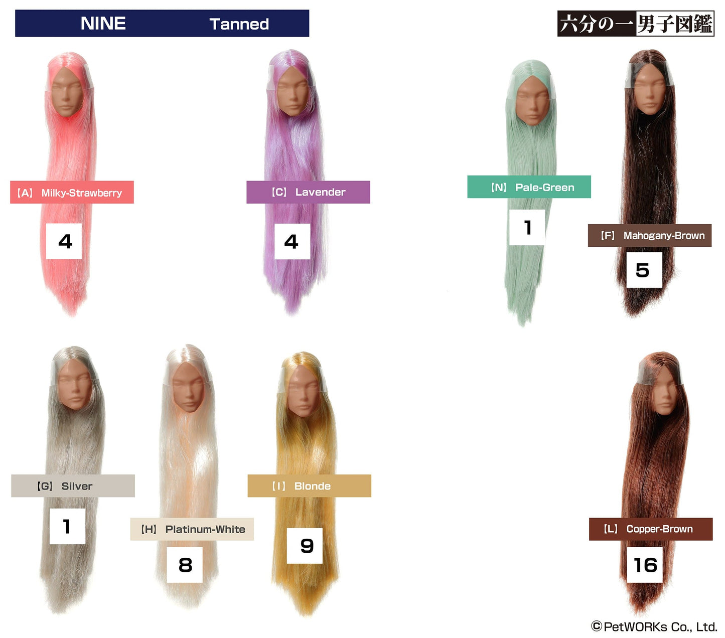 【PetWORKs】 六分之一男子圖鑑 植髮裸頭 NINE B品 - 紀物書館+JiWu Bookstore