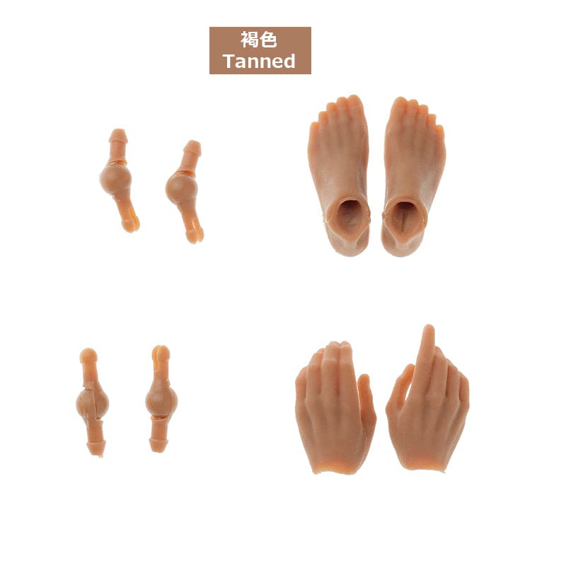 【PetWORKs】 六分之一男子圖鑑 手型 腳型 - 紀物書館+JiWu Bookstore