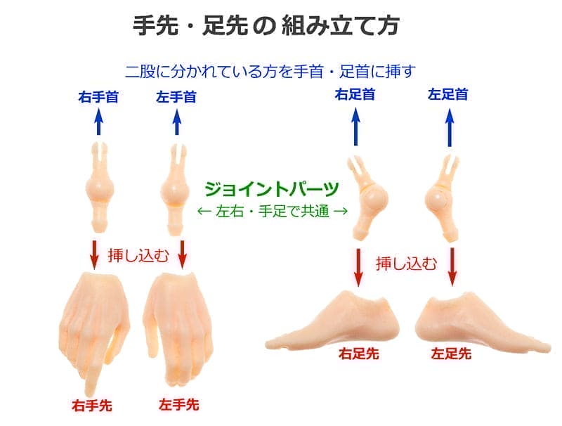 【PetWORKs】 六分之一男子圖鑑 袴 Style 蒼黑 EIGHT PS 預購 - 紀物書館+JiWu Bookstore