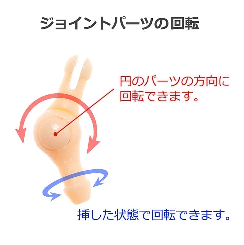 【PetWORKs】 六分之一男子圖鑑 素體 PW-29BODY 褐肌 - 紀物書館+JiWu Bookstore