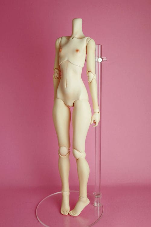 【Angel Philia】Type-C 素體 白肌 6 種胸型 預購 - 紀物書館+JiWu Bookstore