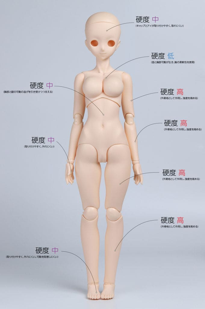 【Obitsu】OB50 Ver. 1.5 GGR 素體 預購 - 紀物書館+JiWu Bookstore