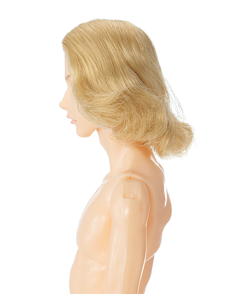 【PetWORKs】 六分之一男子圖鑑 26干支 午 NINE 預購