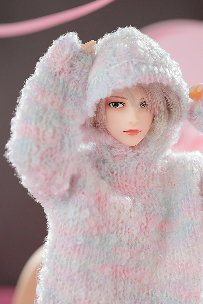 【PetWORKs】 六分之一男子圖鑑 27VDay EIGHT 預購 - 紀物書館+JiWu Bookstore