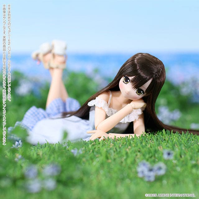 【AZONE】Sahra's a la mode LYCEE / 甜蜜時光大全套 ~ 深棕髮 ~ (AZONE直營限定版) 預購 - 紀物書館+JiWu Bookstore