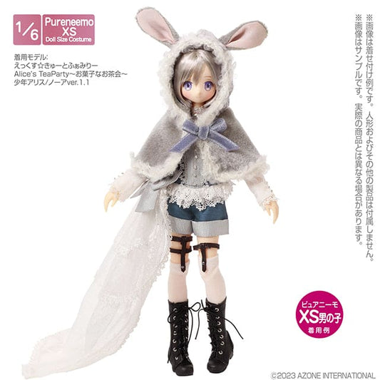 【AZONE】Shounen Alice Set Alice's Tea Party / PNXS PNS PN2 ruruko OB22 OB24