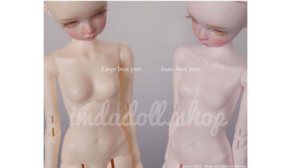 【iMda Doll】2.7 Deva 預購 / 27cm 1/6 藍豆豆 Blythe
