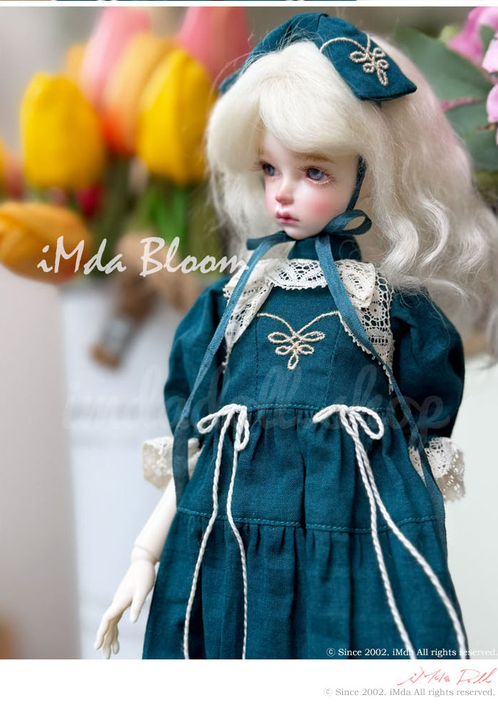 【iMda Doll】2.7 Deva 預購 / 27cm 1/6 藍豆豆 Blythe
