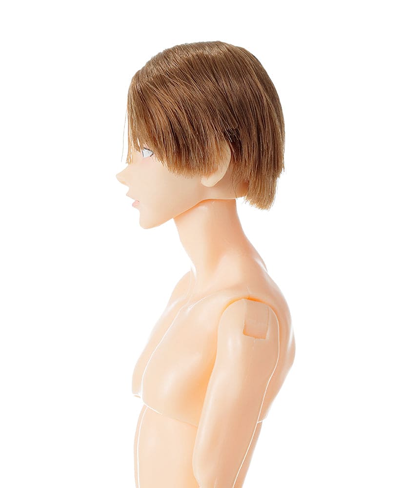 【PetWORKs】 六分之一男子圖鑑 B2608 EIGHT 預購