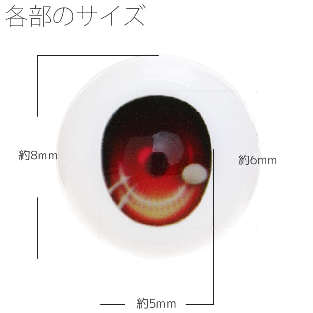 【OBITSU】尾櫃瞳 壓克力眼珠 G Type / 8mm OB11 cocoriang dollce minisweetdoll