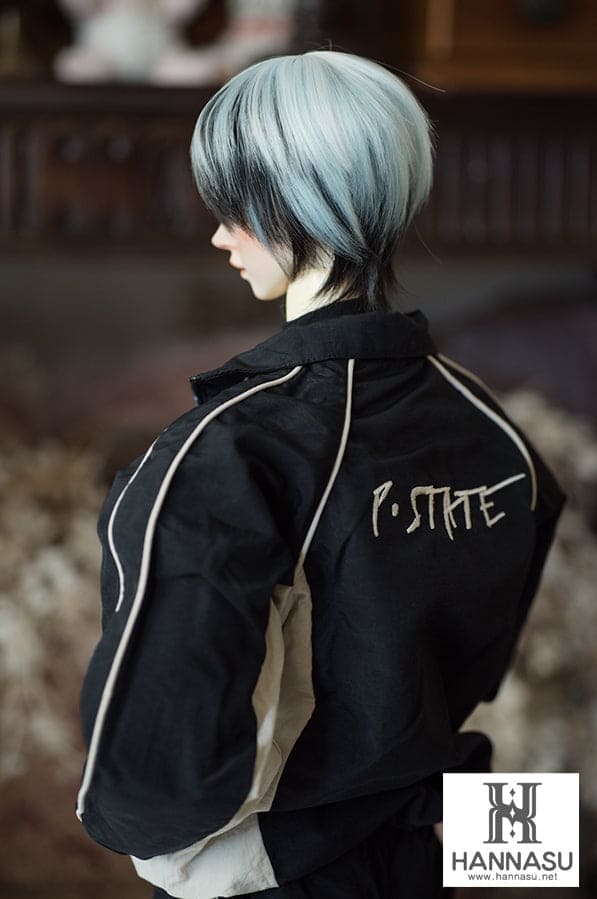 【HANNASU】HW-1116 娃用假髮 多色 / 7~8吋 BJD AZO2 iMda3.0 1/4 - 紀物書館+JiWu Bookstore