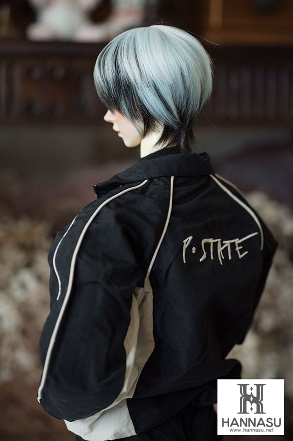 【HANNASU】HW-1116 娃用假髮 多色 / 8~9吋 BJD DD 1/3 MDD - 紀物書館+JiWu Bookstore