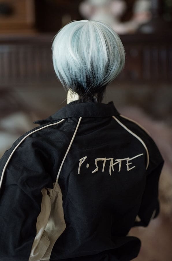 【HANNASU】HW-1116 娃用假髮 多色 / 7~8吋 BJD AZO2 iMda3.0 1/4 - 紀物書館+JiWu Bookstore