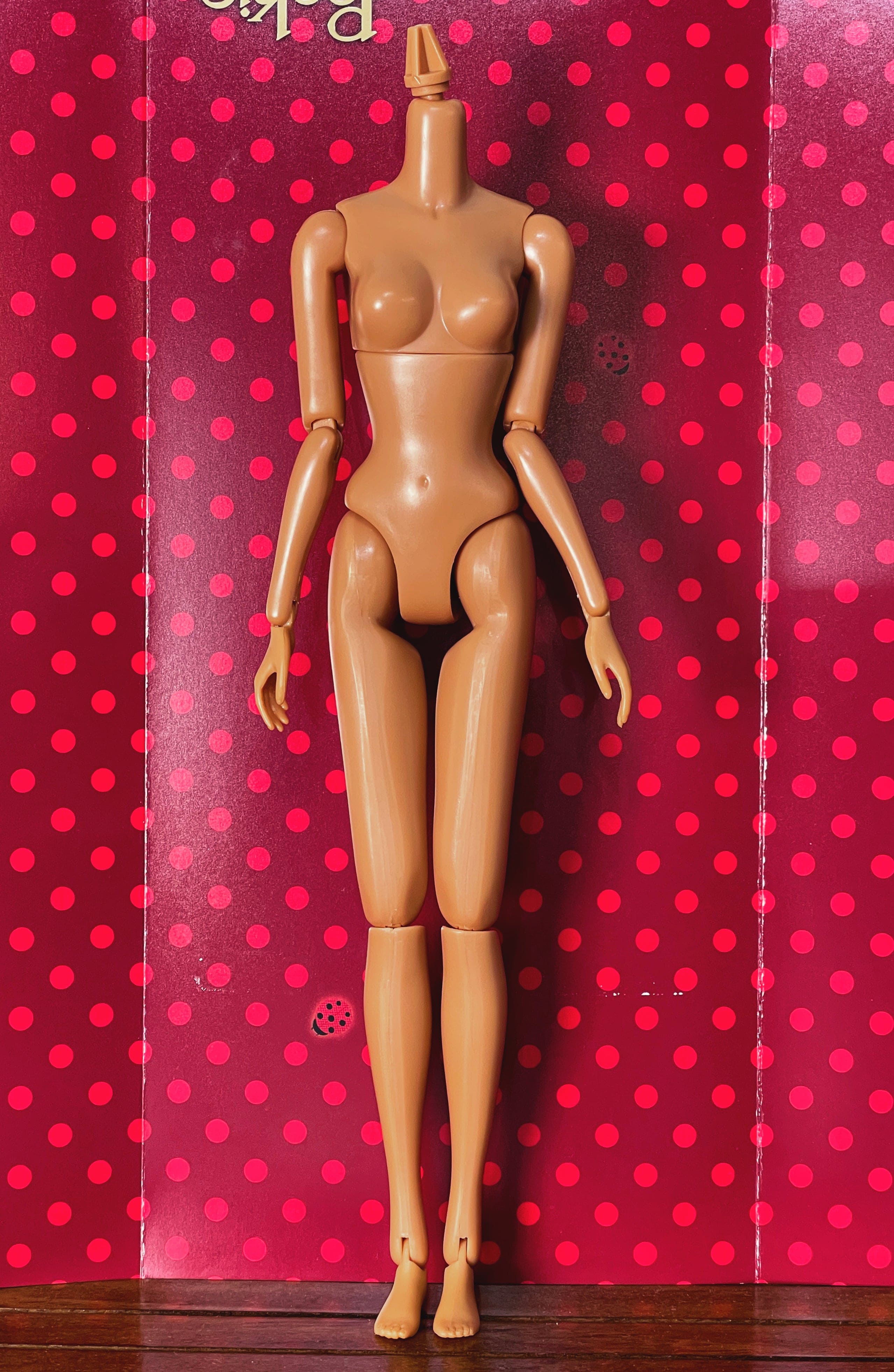 セキグチ】モモコベジタリアングッズ/Peach PetWORKs Jenny – 紀物