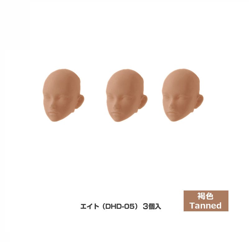 【PetWORKs】 六分之一男子圖鑑 裸頭 EIGHT B品 - 紀物書館+JiWu Bookstore