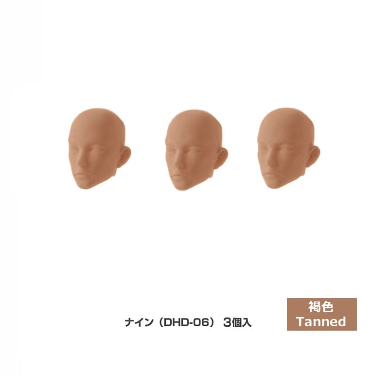 【PetWORKs】 六分之一男子圖鑑 裸頭 NINE B品 - 紀物書館+JiWu Bookstore