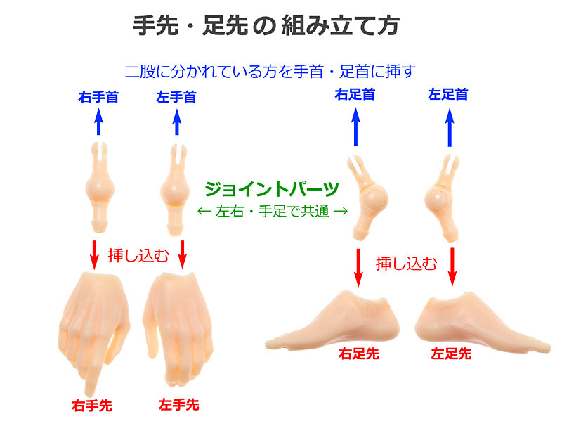 【PetWORKs】 六分之一男子圖鑑 B2610 EIGHT 預購