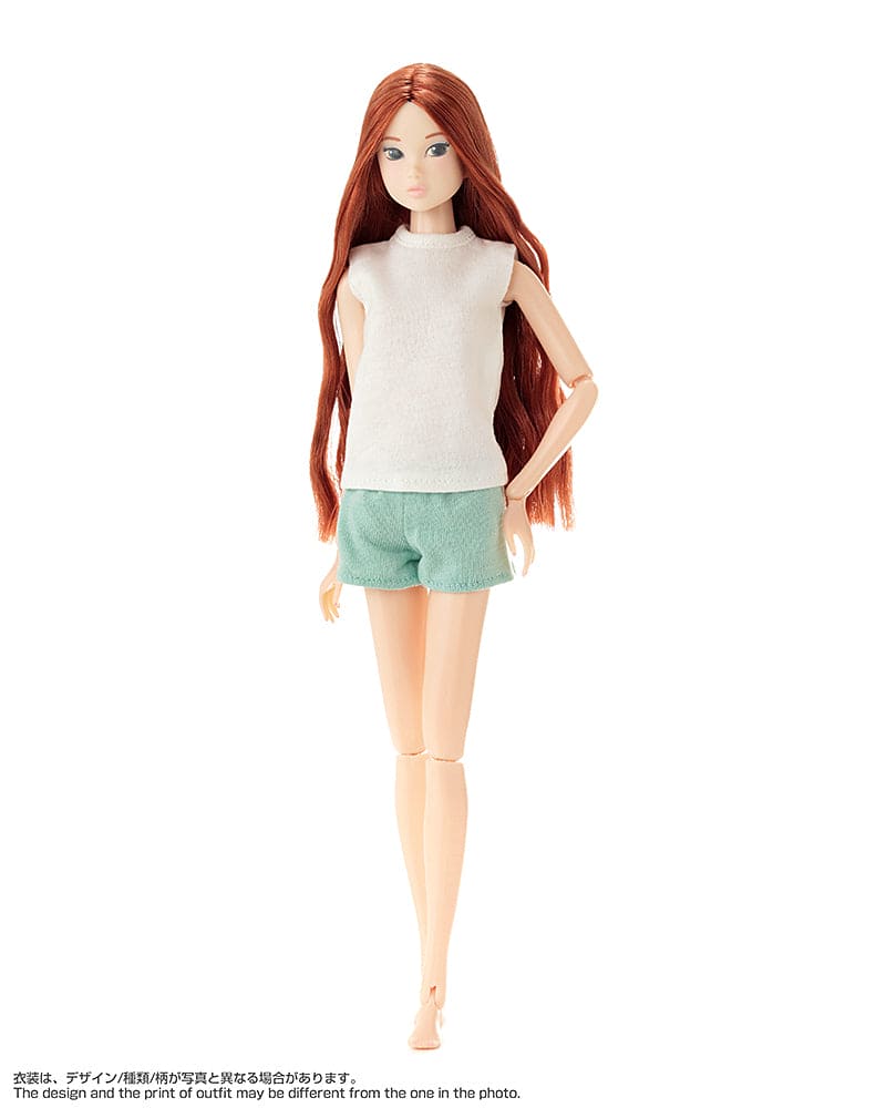 【PetWORKs】福袋 Today's momoko 25HB + 1 預購 - 紀物書館+JiWu Bookstore