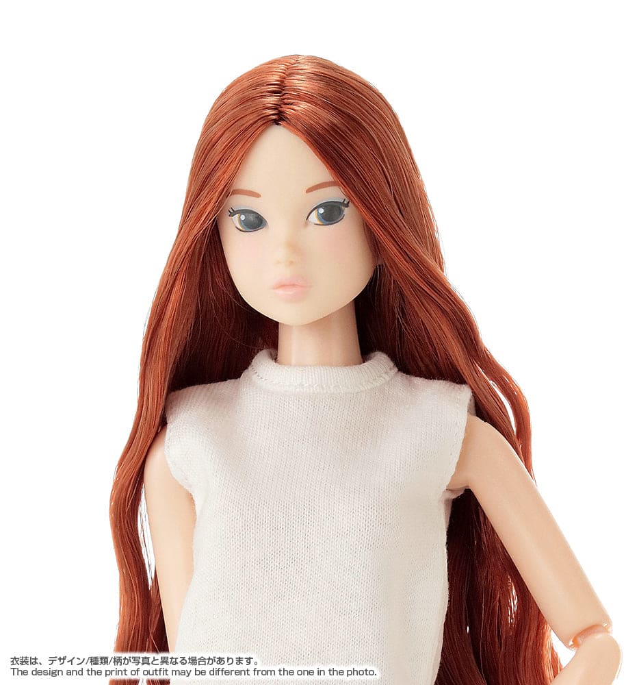 【PetWORKs】福袋 Today's momoko 25HB + 1 預購 - 紀物書館+JiWu Bookstore