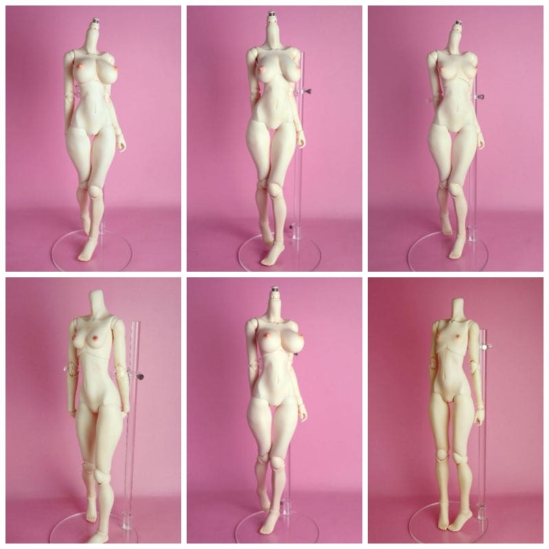 【Angel Philia】Type-C 素體 白肌 6 種胸型 預購 - 紀物書館+JiWu Bookstore