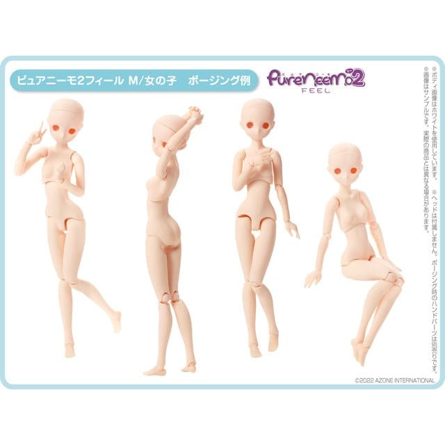 【AZONE】Pureneemo 二代 feel 滑順肌 女子素體 / PN2 Pureneemo 1/6 Blythe