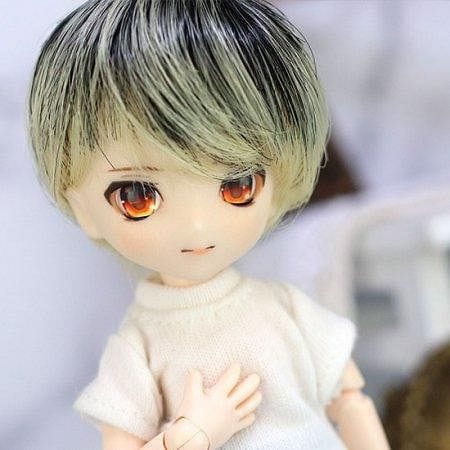 【Dollce】Gradation Short 娃用假髮 多色 SweetDoll OBITSU OB BJD