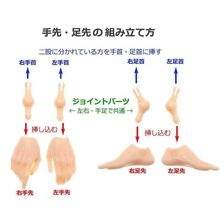 【PetWORKs】 六分之一男子圖鑑 手型 腳型