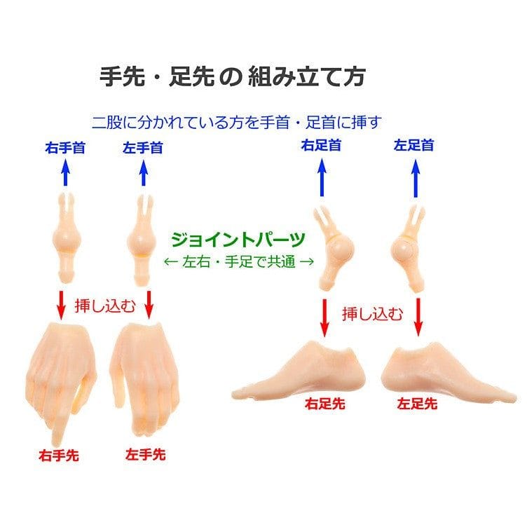 【PetWORKs】 六分之一男子圖鑑 素體 PW- BODY